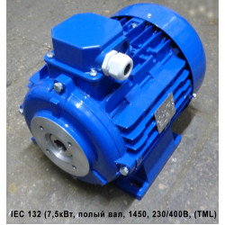 Электродвигатель IEC 132 (7,5 кВт, полый вал, 1450 об/мин, 230/400В, TML)